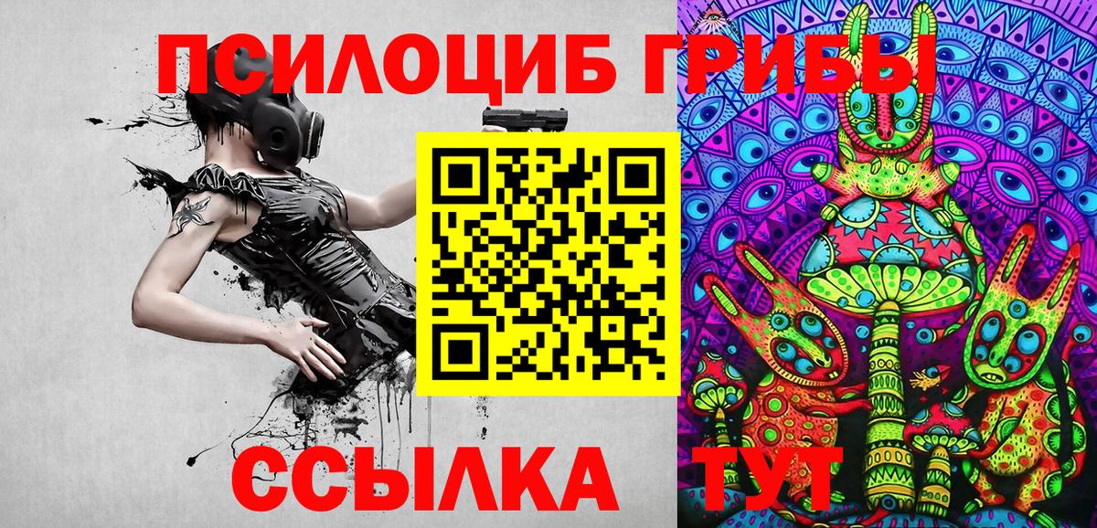 Псилоцибиновые грибы мухоморы Волжск